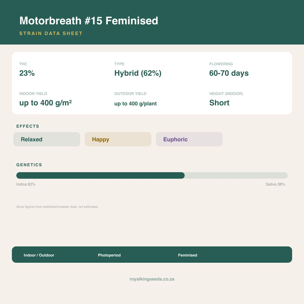Motorbreath #15 62% indica / 38% sativa flower with visible trichomes