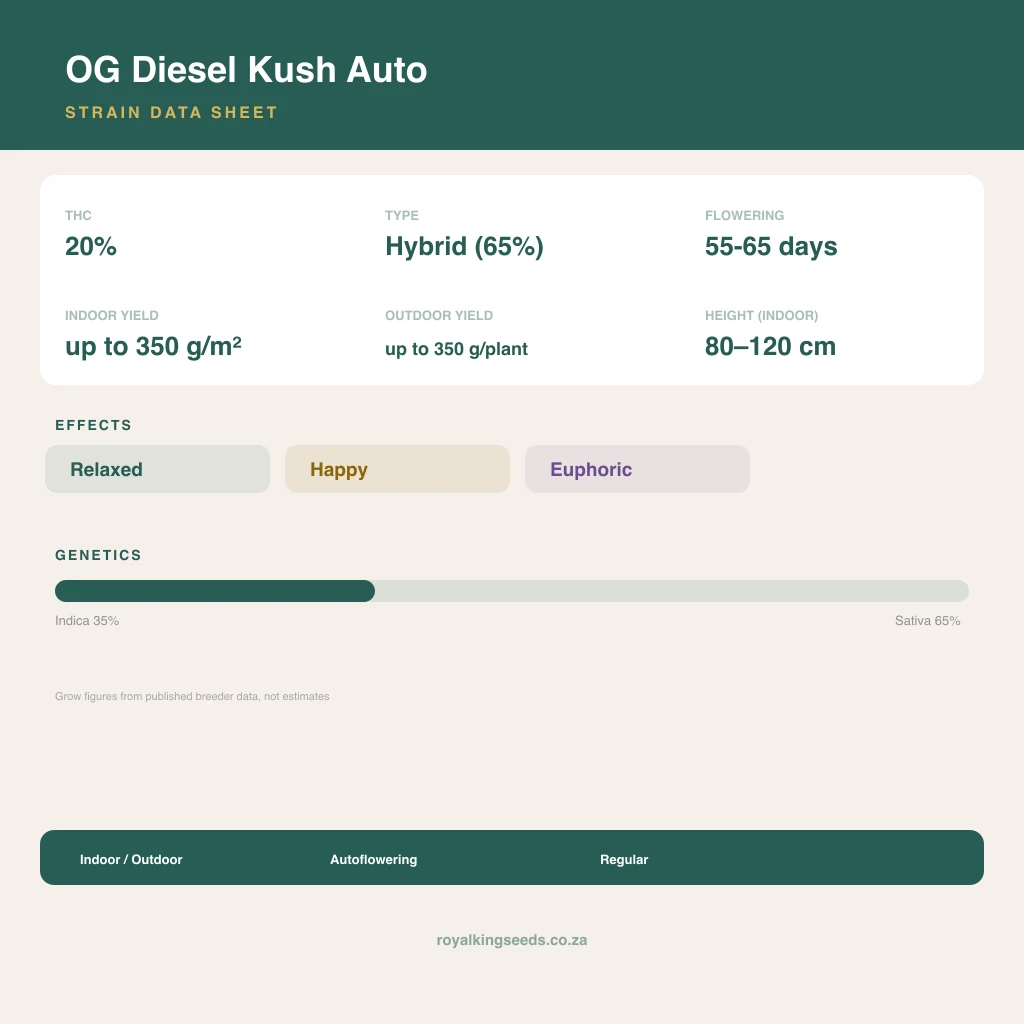 OG Diesel Kush 35% indica / 65% sativa flower with visible trichomes