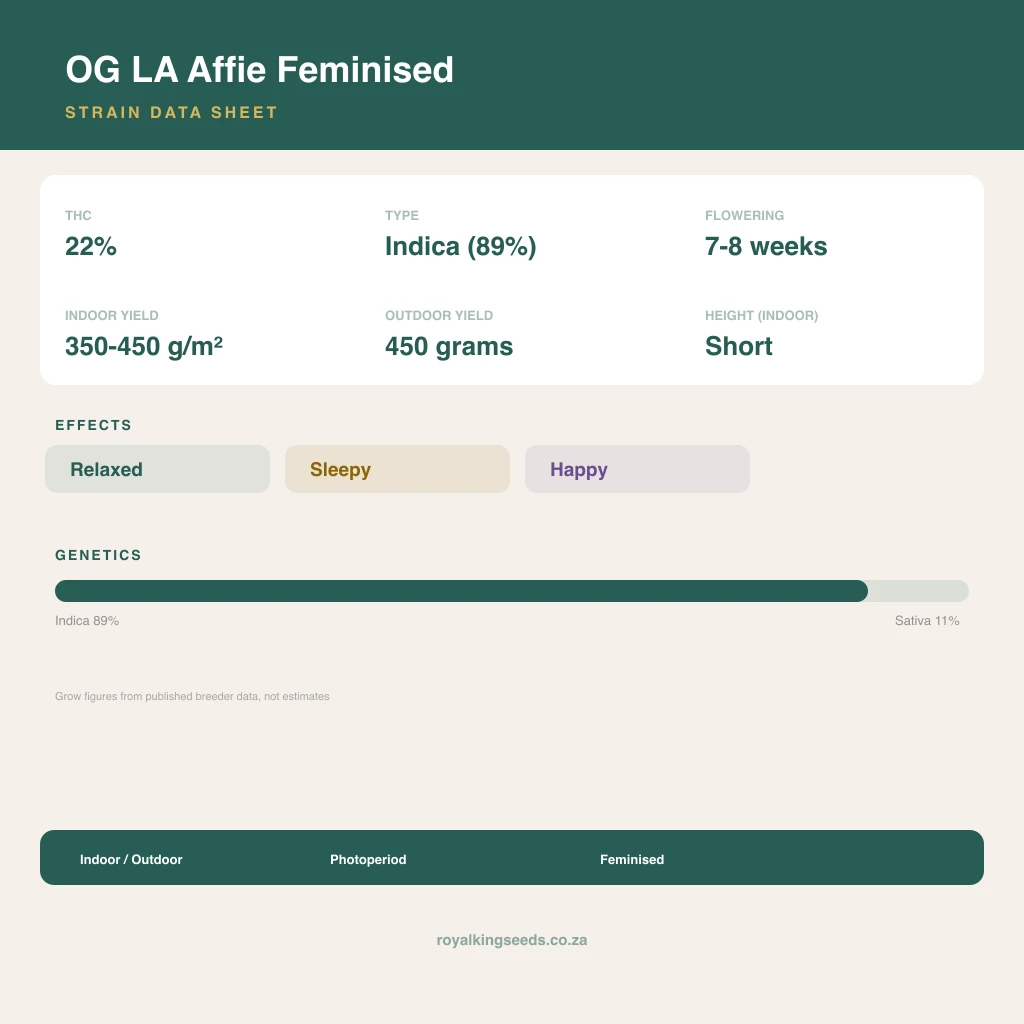 OG LA Affie 89% indica / 11% sativa flower with visible trichomes