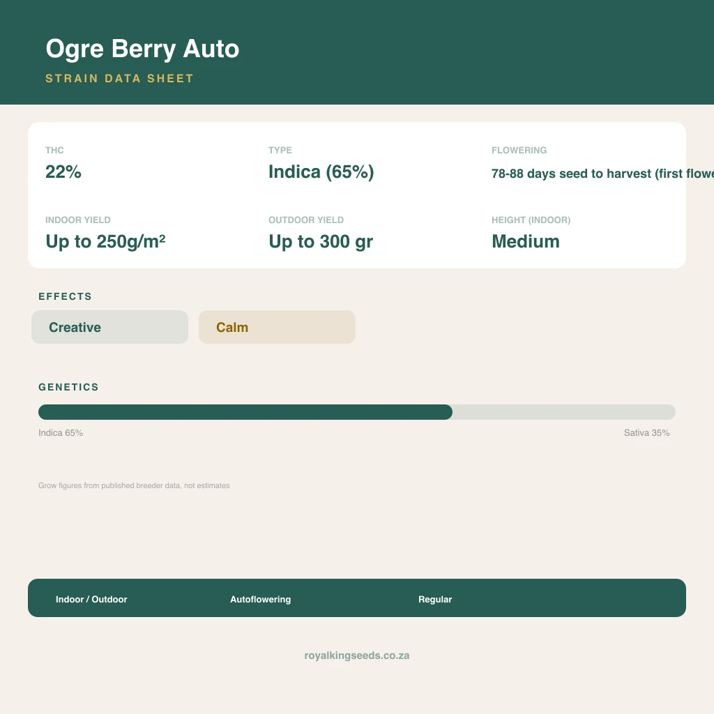 Ogre Berry 65% indica / 35% sativa flower with visible trichomes