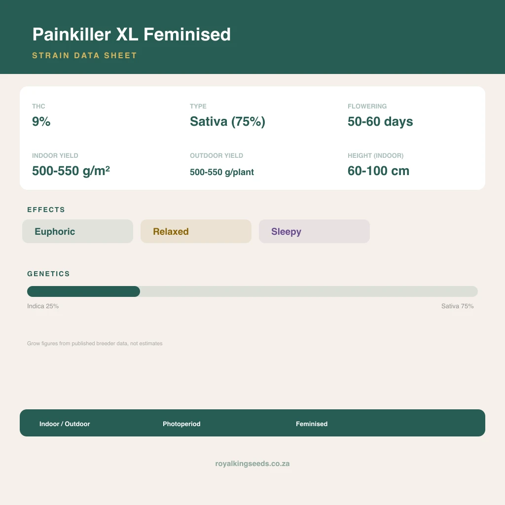 Painkiller XL 25% indica / 75% sativa flower with visible trichomes