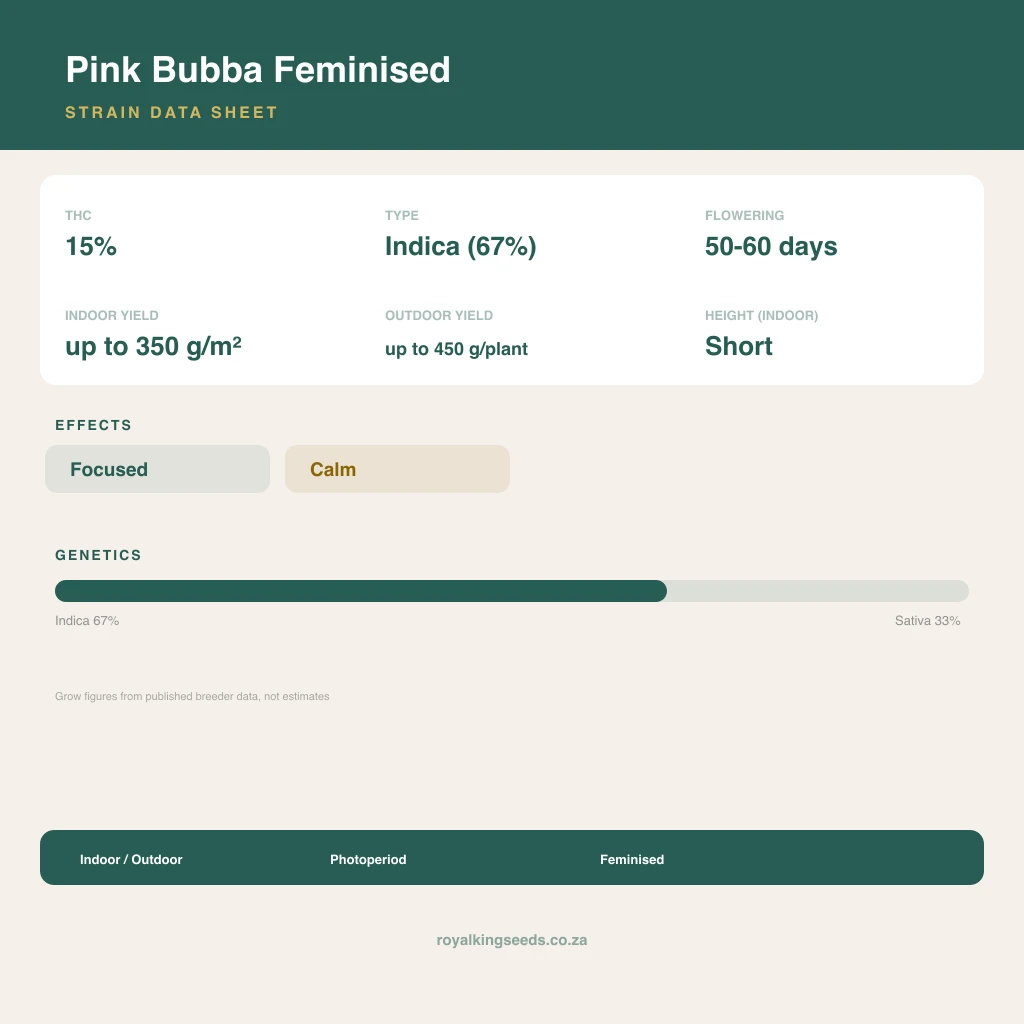 Pink Bubba 67% indica / 33% sativa flower with visible trichomes
