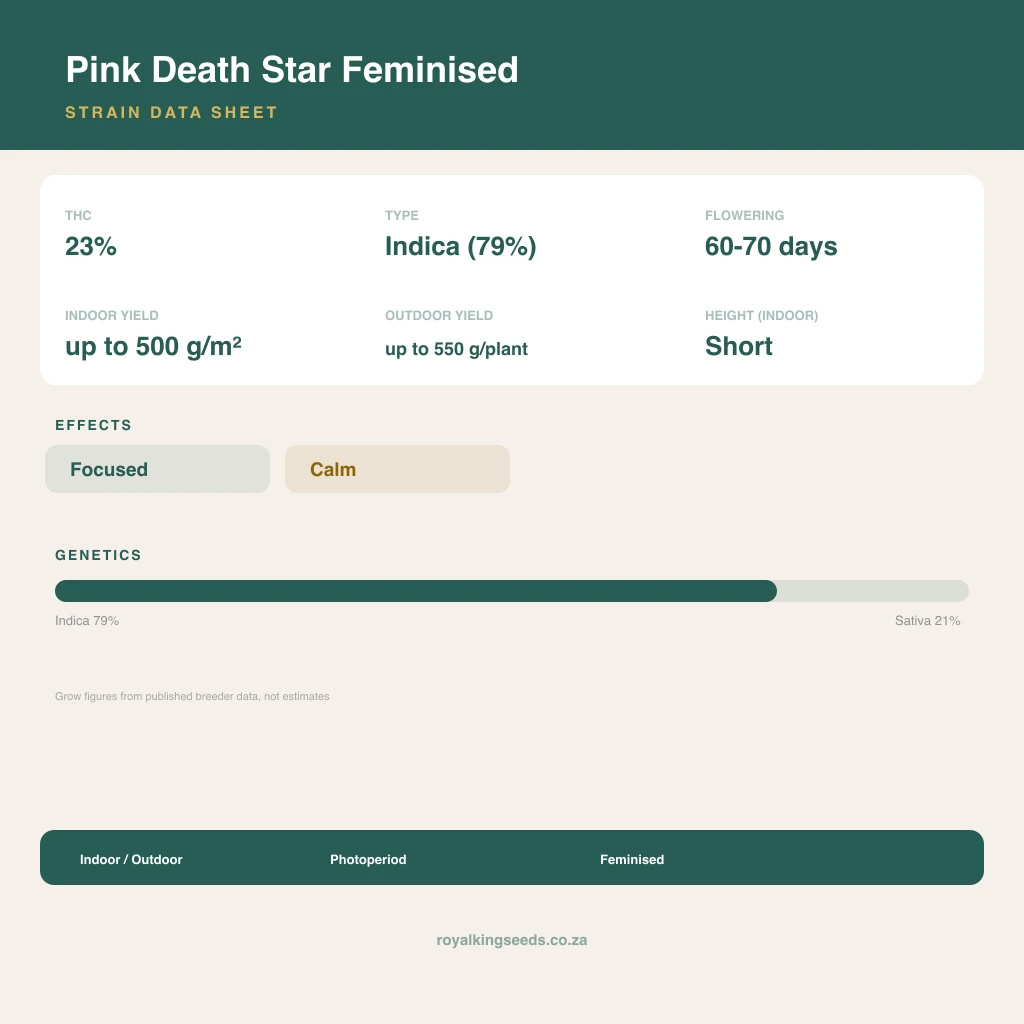 Pink Death Star 79% indica / 21% sativa flower with visible trichomes