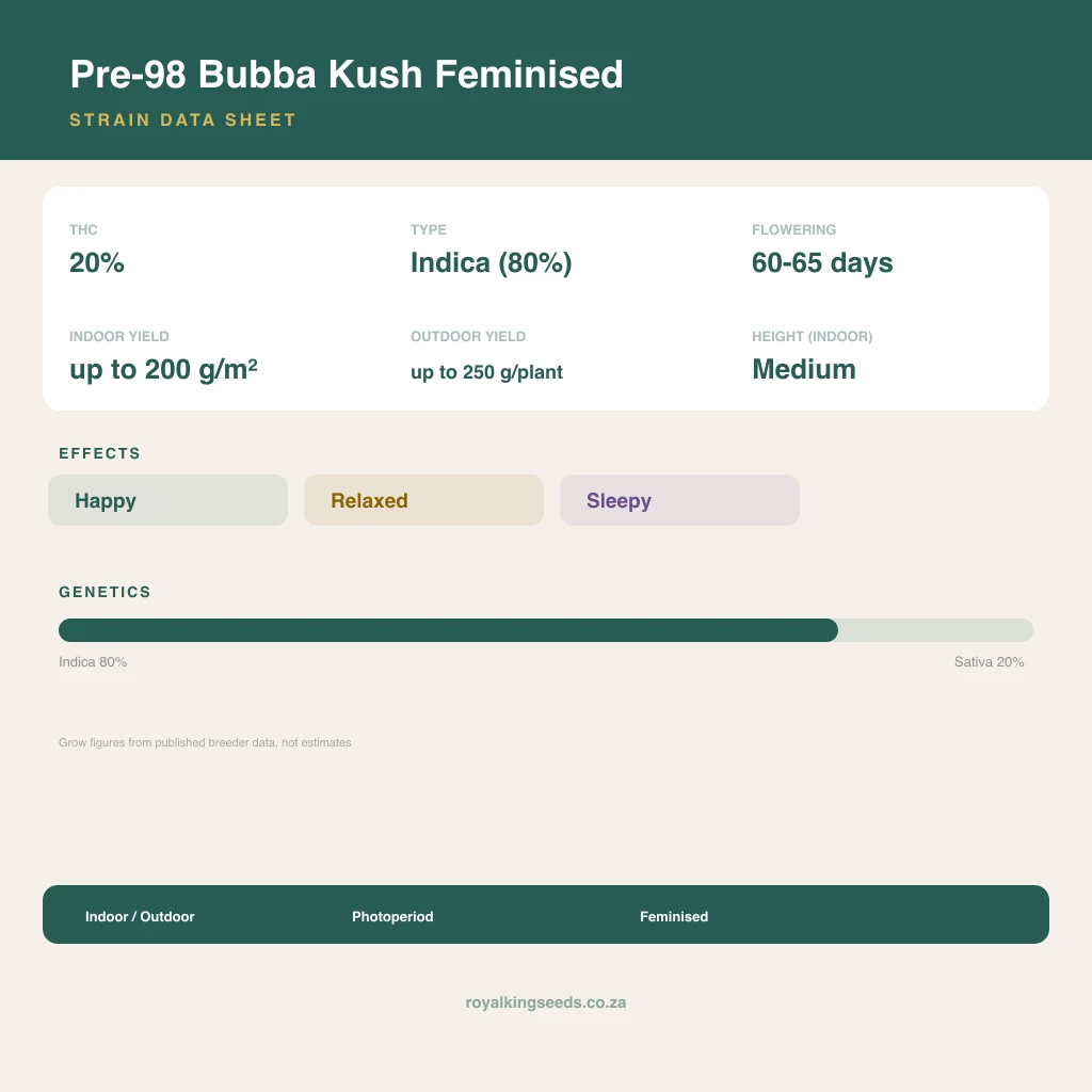 Pre-98 Bubba Kush 80% indica / 20% sativa flower with visible trichomes
