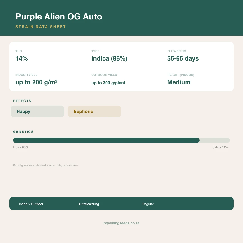 Purple Alien OG 86% indica / 14% sativa flower with visible trichomes