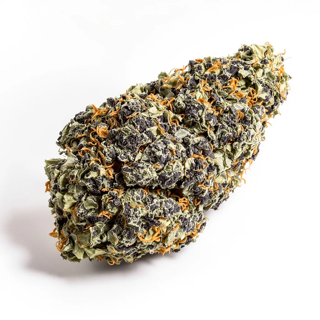 Purple Dragon 66% indica / 34% sativa flower with visible trichomes