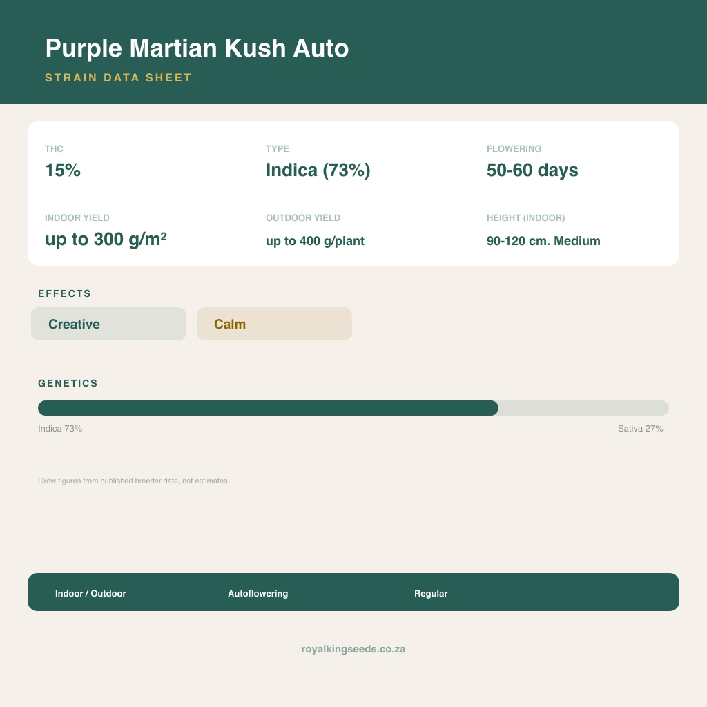 Purple Martian Kush 73% indica / 27% sativa flower with visible trichomes