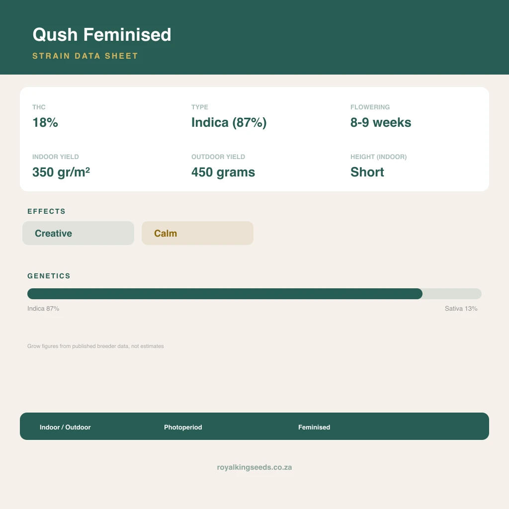 Qush 87% indica / 13% sativa flower with visible trichomes