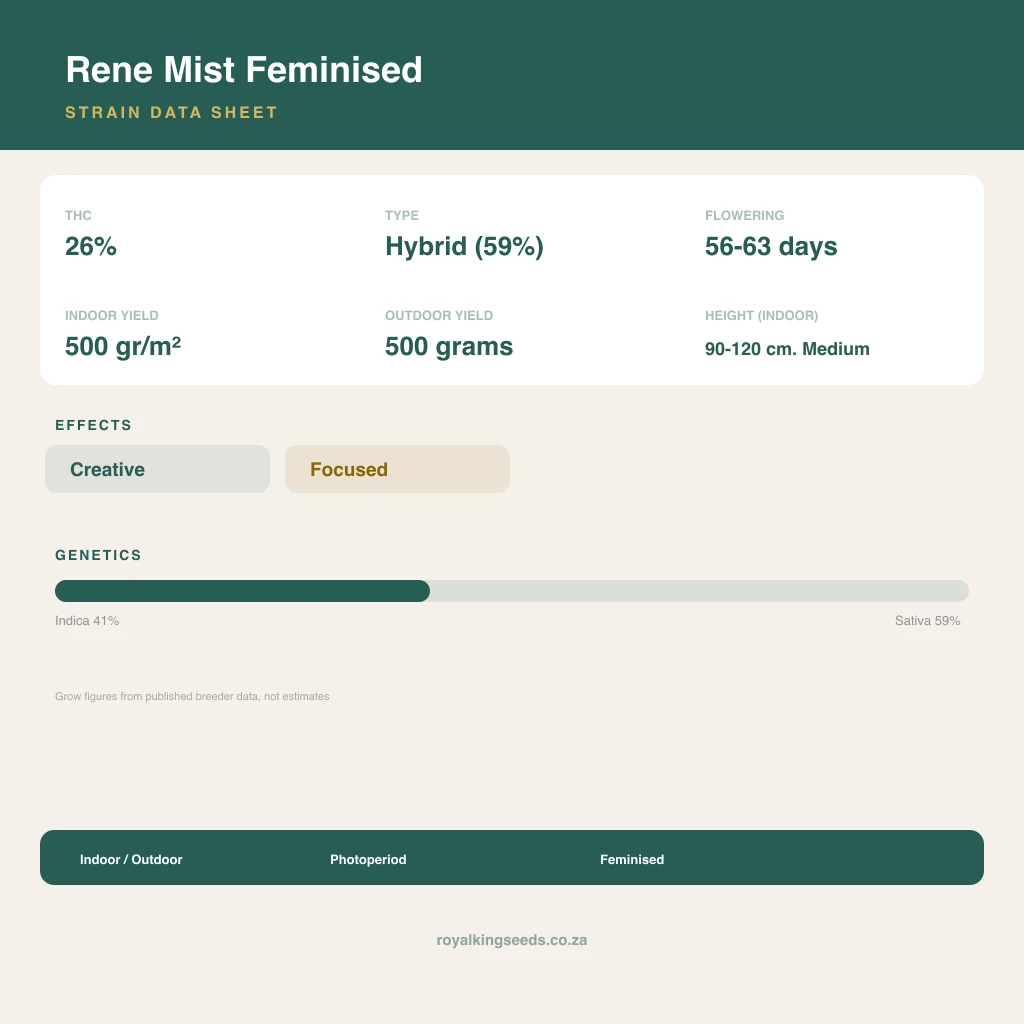 Rene Mist 41% indica / 59% sativa flower with visible trichomes