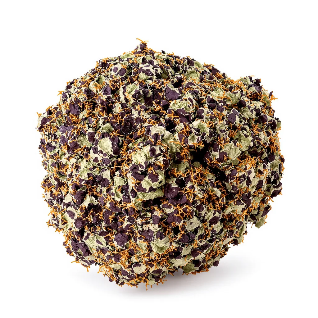 Rollex OG Kush 65% indica / 35% sativa flower with visible trichomes