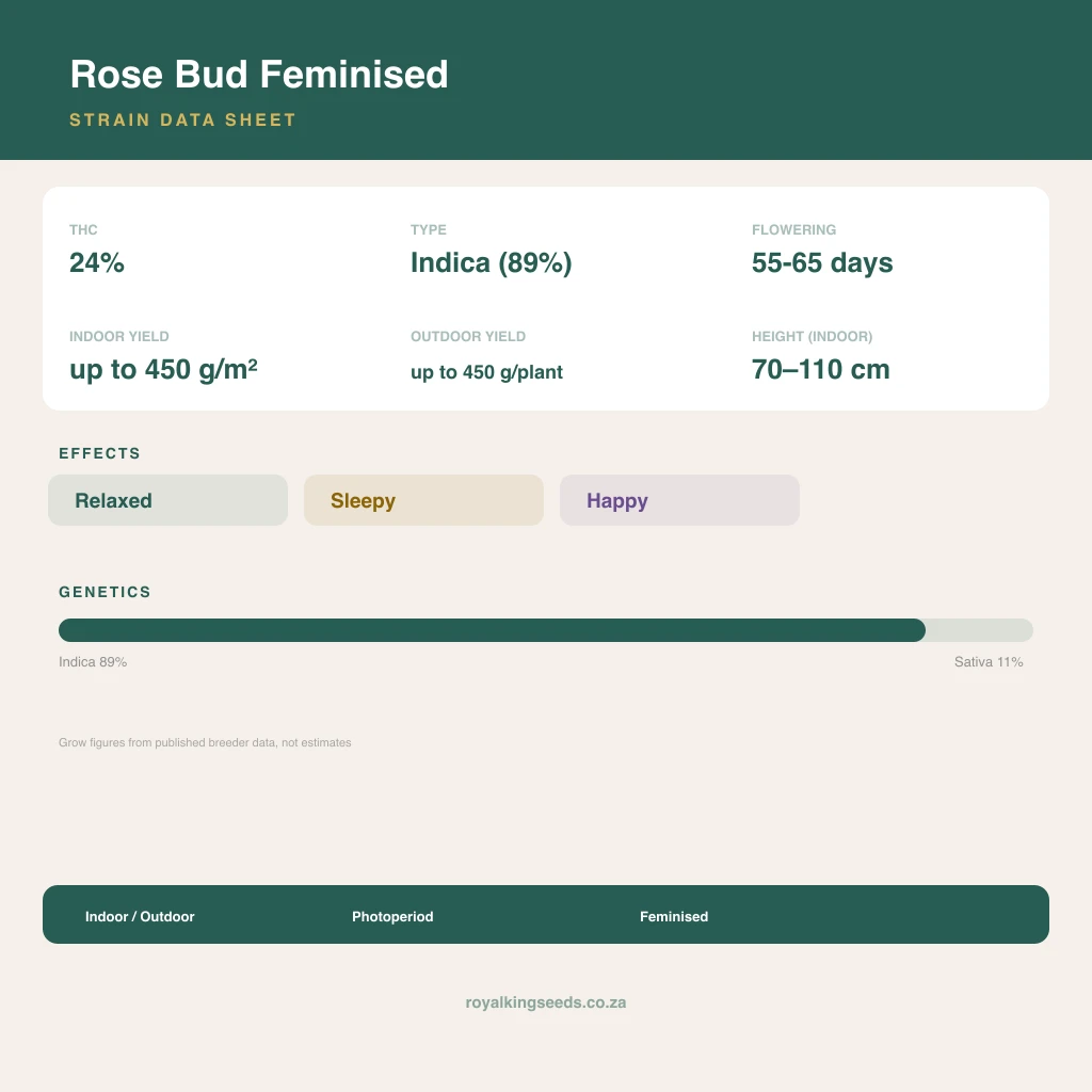 Rose Bud 89% indica / 11% sativa flower with visible trichomes