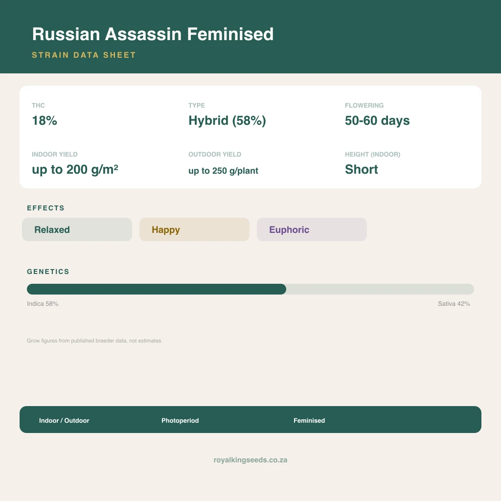 Russian Assassin 58% indica / 42% sativa flower with visible trichomes