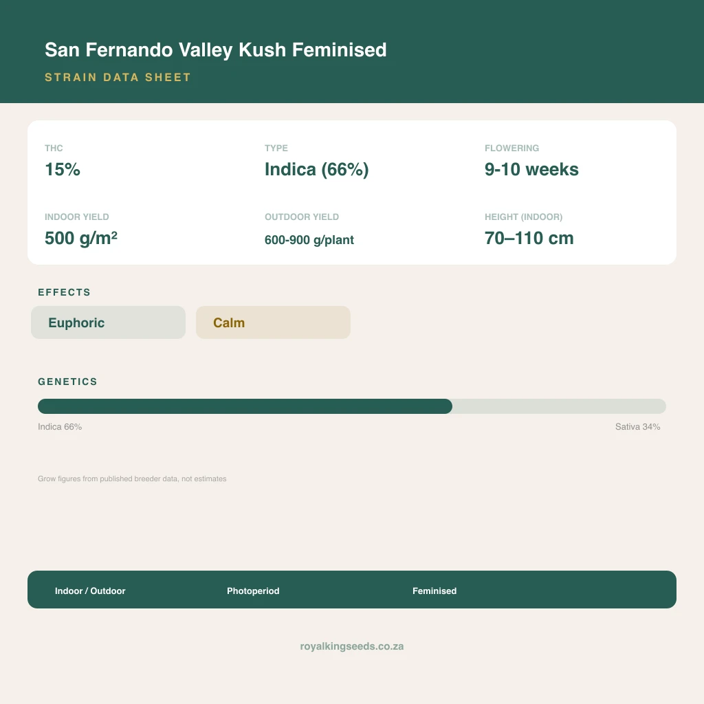 San Fernando Valley Kush 66% indica / 34% sativa flower with visible trichomes