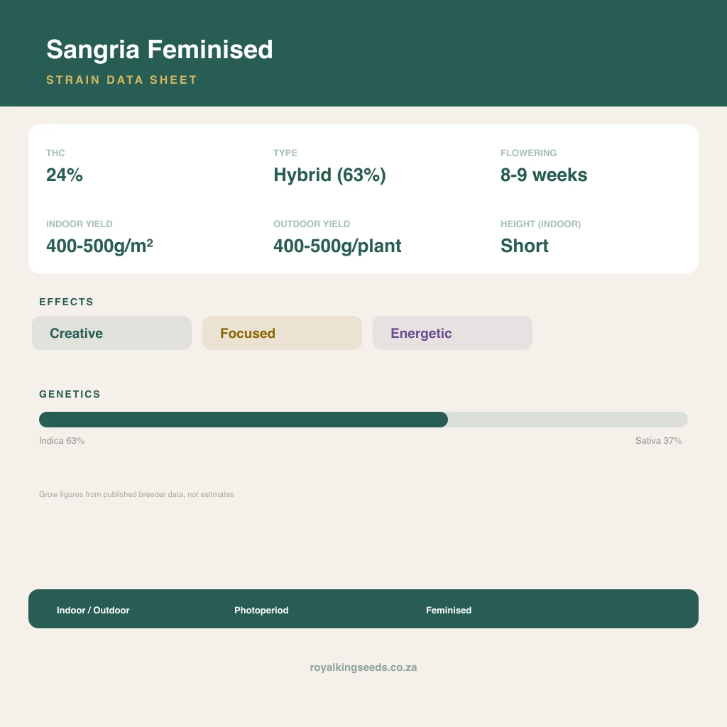 Sangria 63% indica / 37% sativa flower with visible trichomes