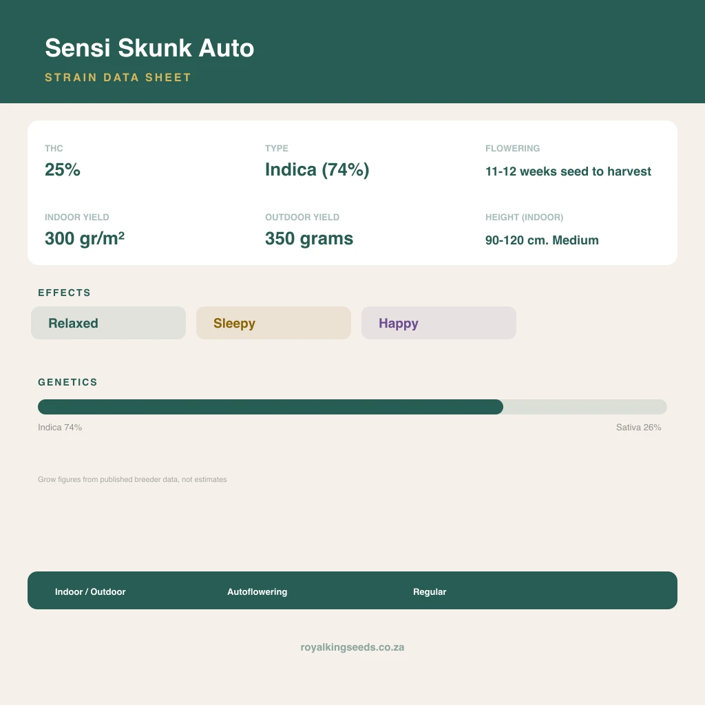 Sensi Skunk 74% indica / 26% sativa flower with visible trichomes
