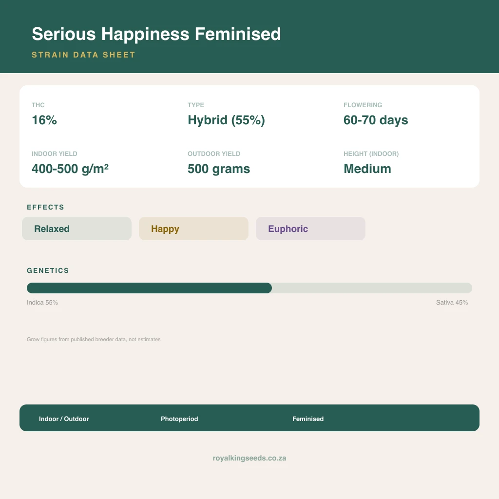 Serious Happiness 55% indica / 45% sativa flower with visible trichomes