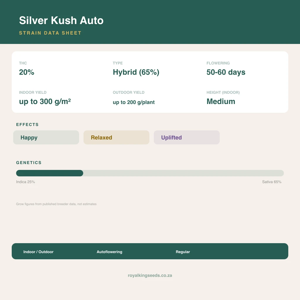 Silver Kush 28% indica / 72% sativa flower with visible trichomes