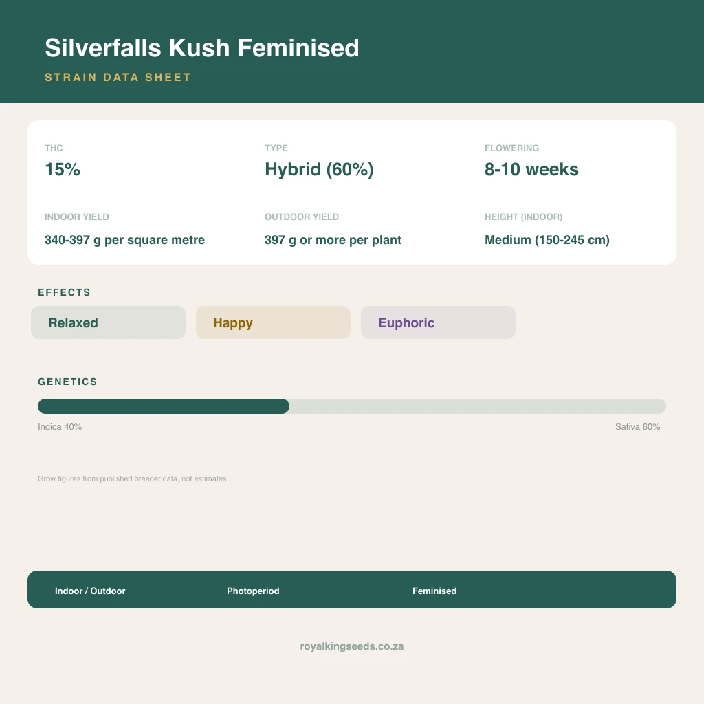 Silverfalls Kush 40% indica / 60% sativa flower with visible trichomes