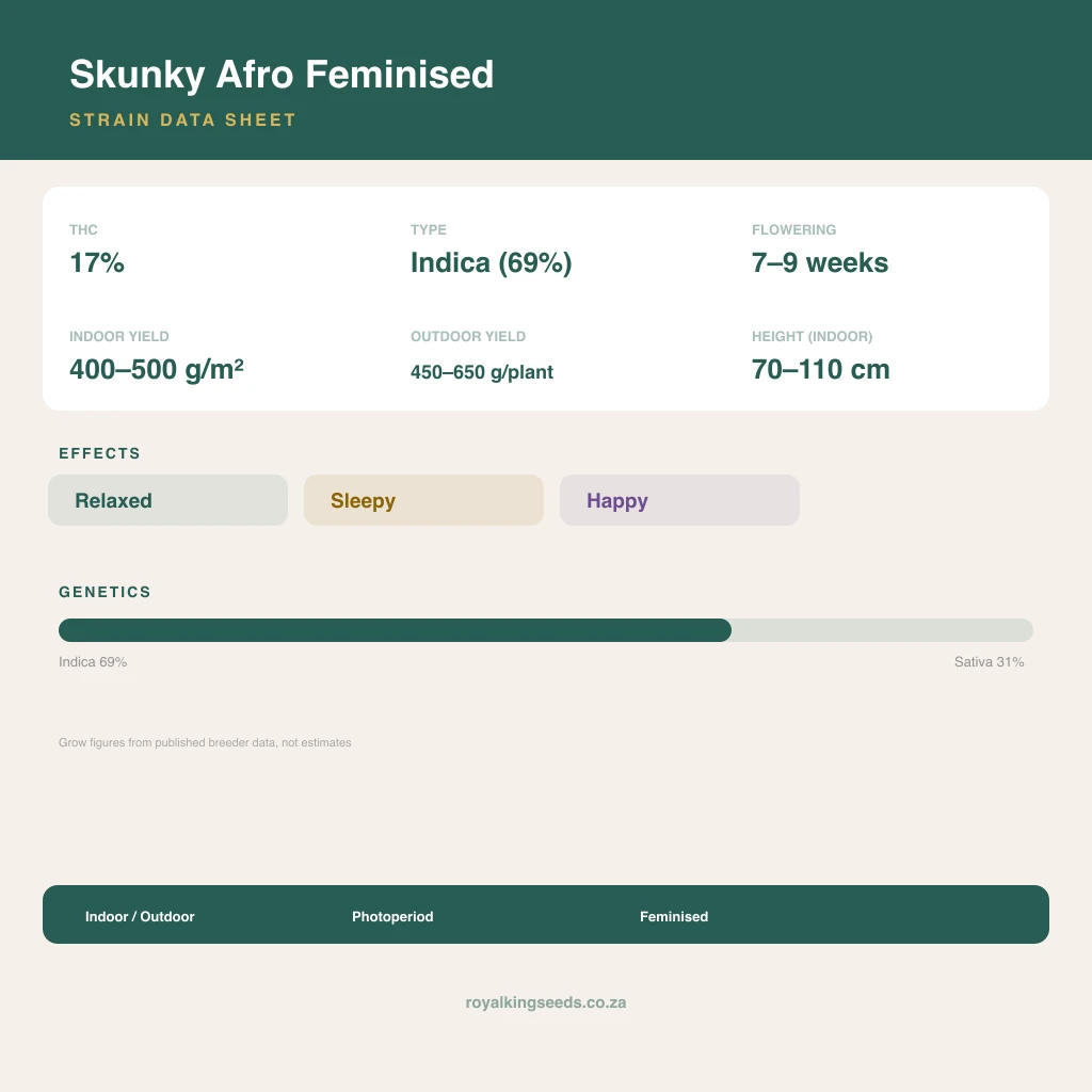 Skunky Afro 69% indica / 31% sativa flower with visible trichomes