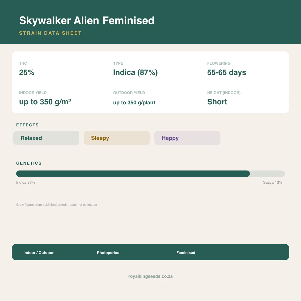 Skywalker Alien 87% indica / 13% sativa flower with visible trichomes