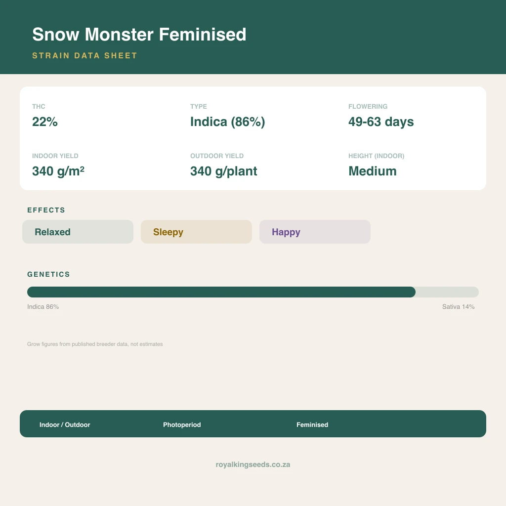 Snow Monster 86% indica / 14% sativa flower with visible trichomes