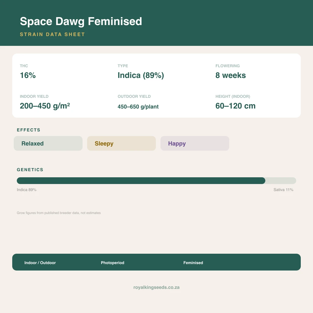 Space Dawg 89% indica / 11% sativa flower with visible trichomes