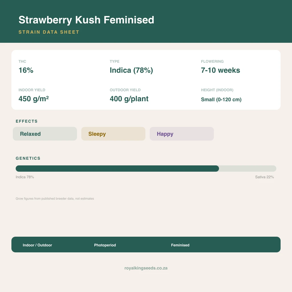 Strawberry Kush 78% indica / 22% sativa flower with visible trichomes
