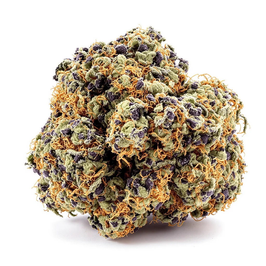 Sugar Black Rose 88% indica / 12% sativa flower with visible trichomes