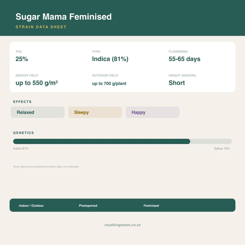 Sugar Mama 81% indica / 19% sativa flower with visible trichomes