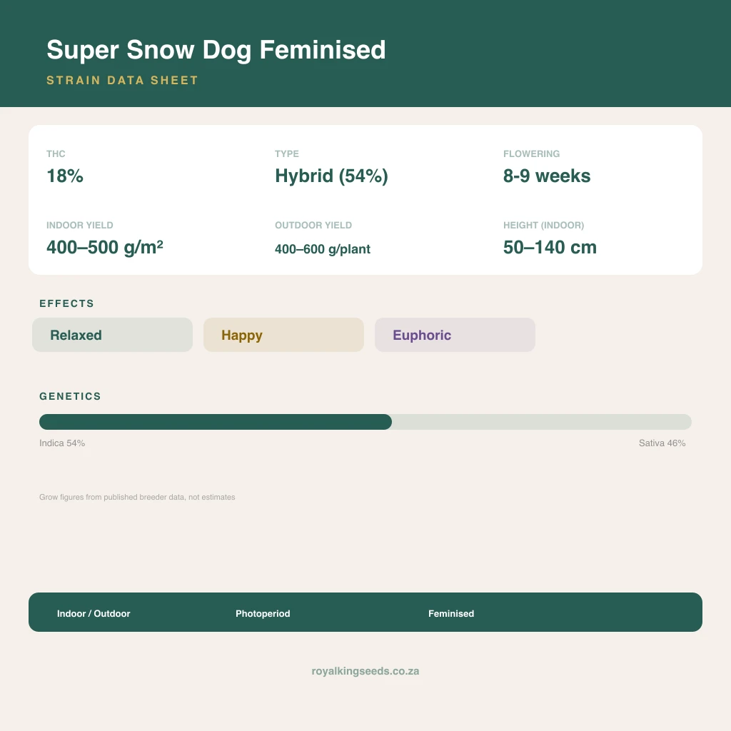 Super Snow Dog 54% indica / 46% sativa flower with visible trichomes