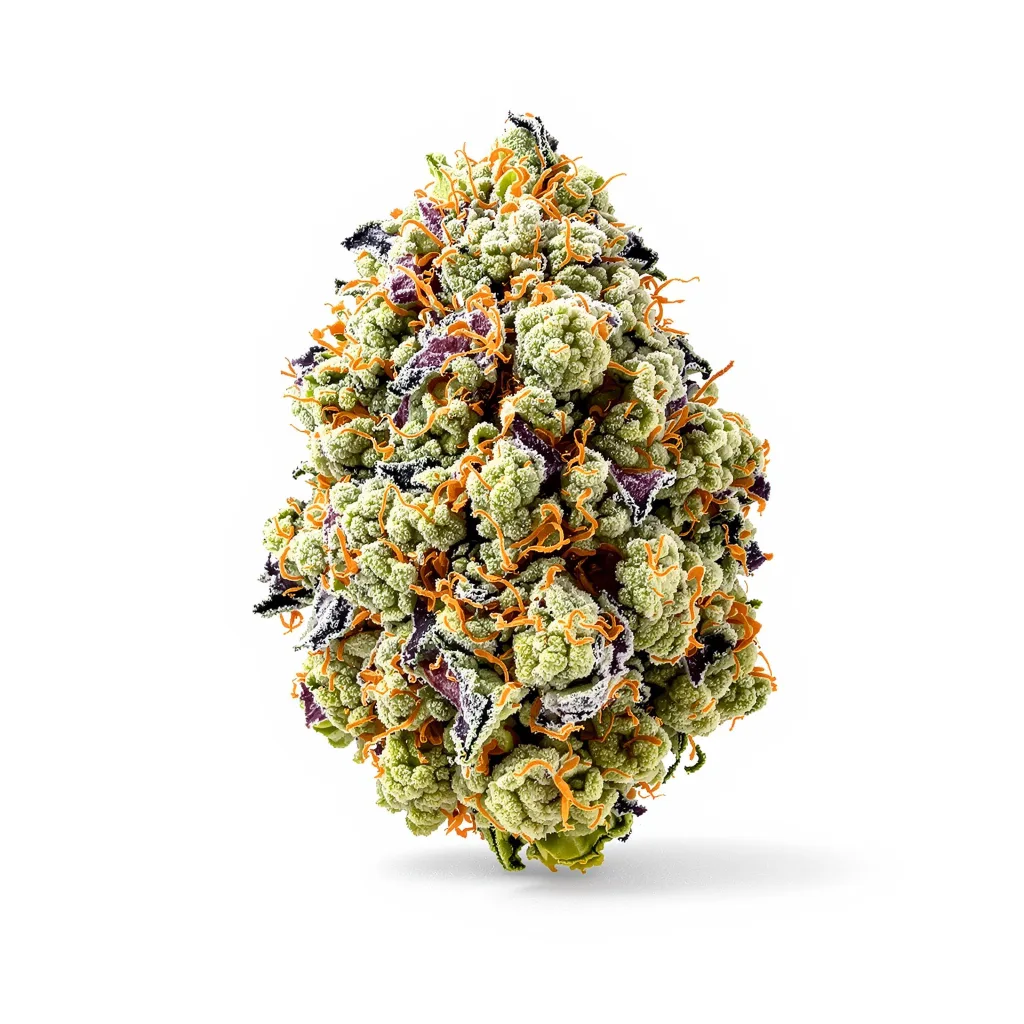 Super Snow Dog 54% indica / 46% sativa flower with visible trichomes