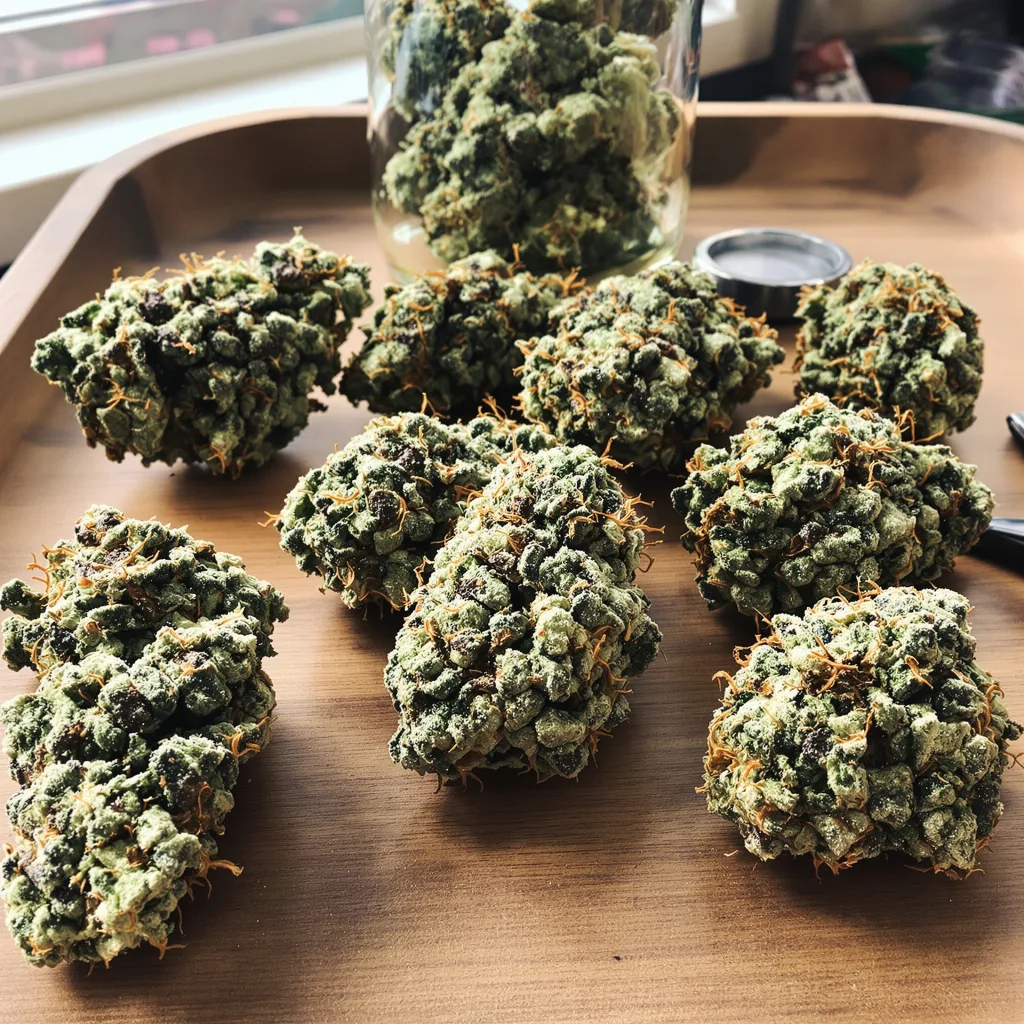 Surprise MFCKR Mixpack 40% indica / 60% sativa flower with visible trichomes