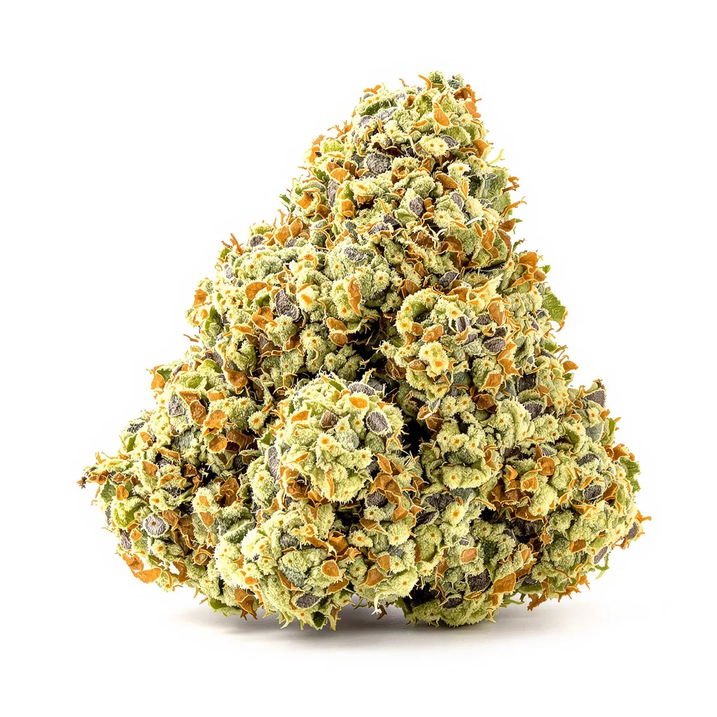 Suzy Q CBD 50% indica / 50% sativa flower with visible trichomes