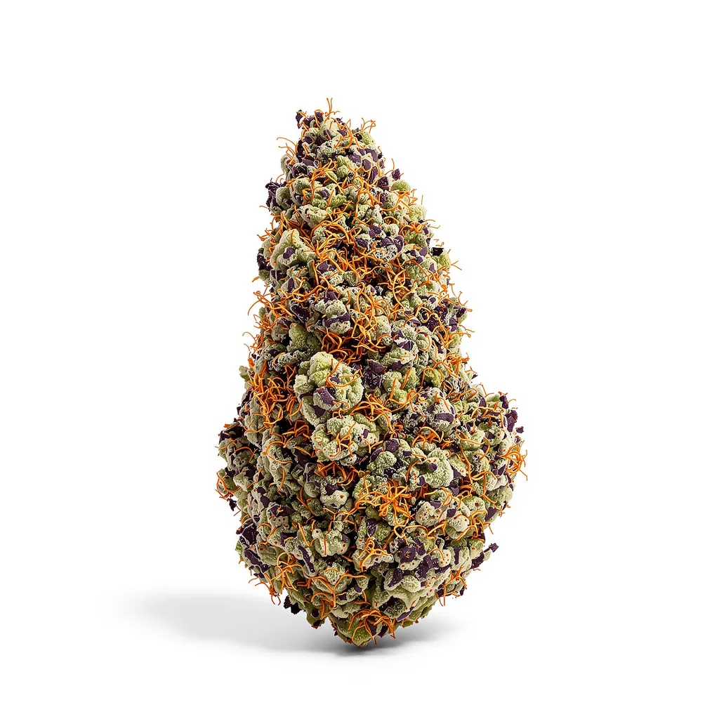 Tangerine Dream 79% indica / 21% sativa flower with visible trichomes