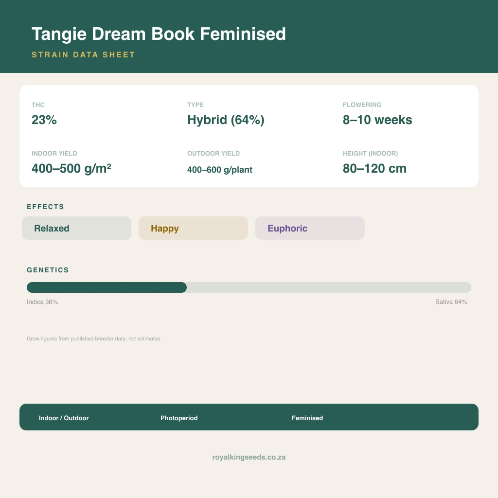 Tangie Dream Book 36% indica / 64% sativa flower with visible trichomes