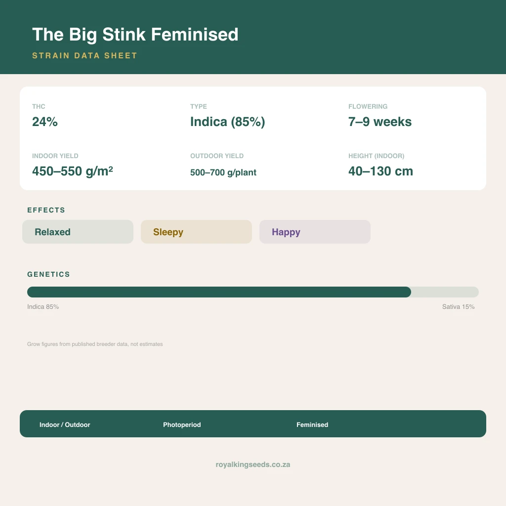 The Big Stink 85% indica / 15% sativa flower with visible trichomes