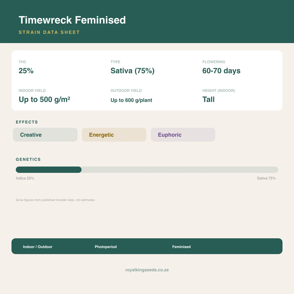 Timewreck 25% indica / 75% sativa flower with visible trichomes