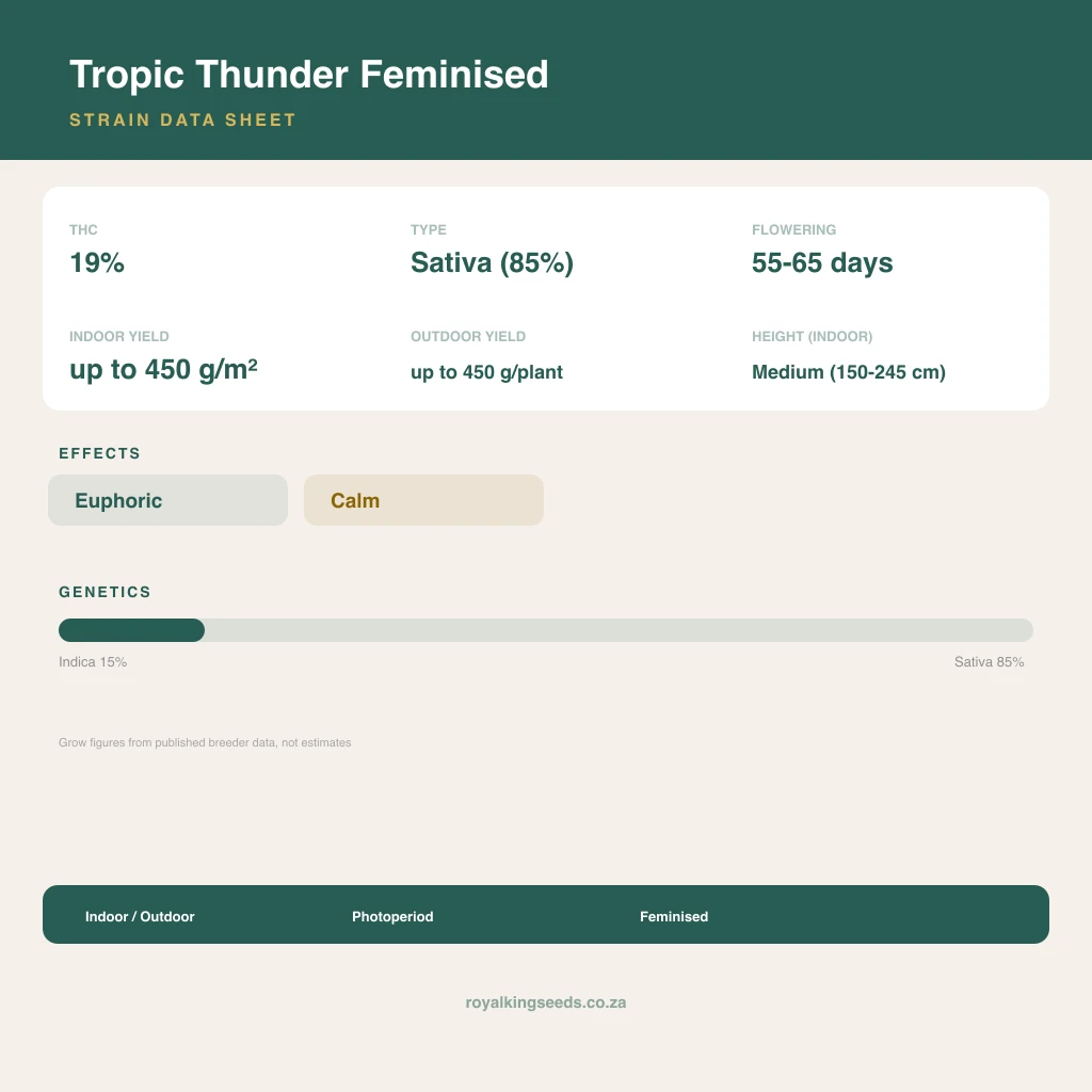 Tropic Thunder 15% indica / 85% sativa flower with visible trichomes