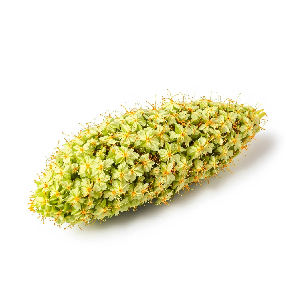 Tropic Thunder 15% indica / 85% sativa flower with visible trichomes