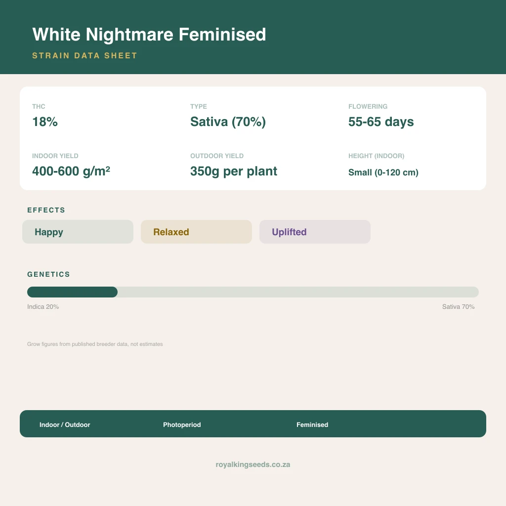 White Nightmare 22% indica / 78% sativa flower with visible trichomes