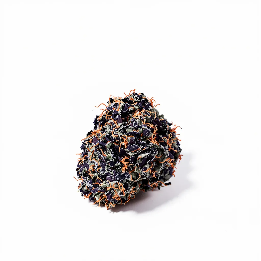 White Rhino 64% indica / 36% sativa flower with visible trichomes