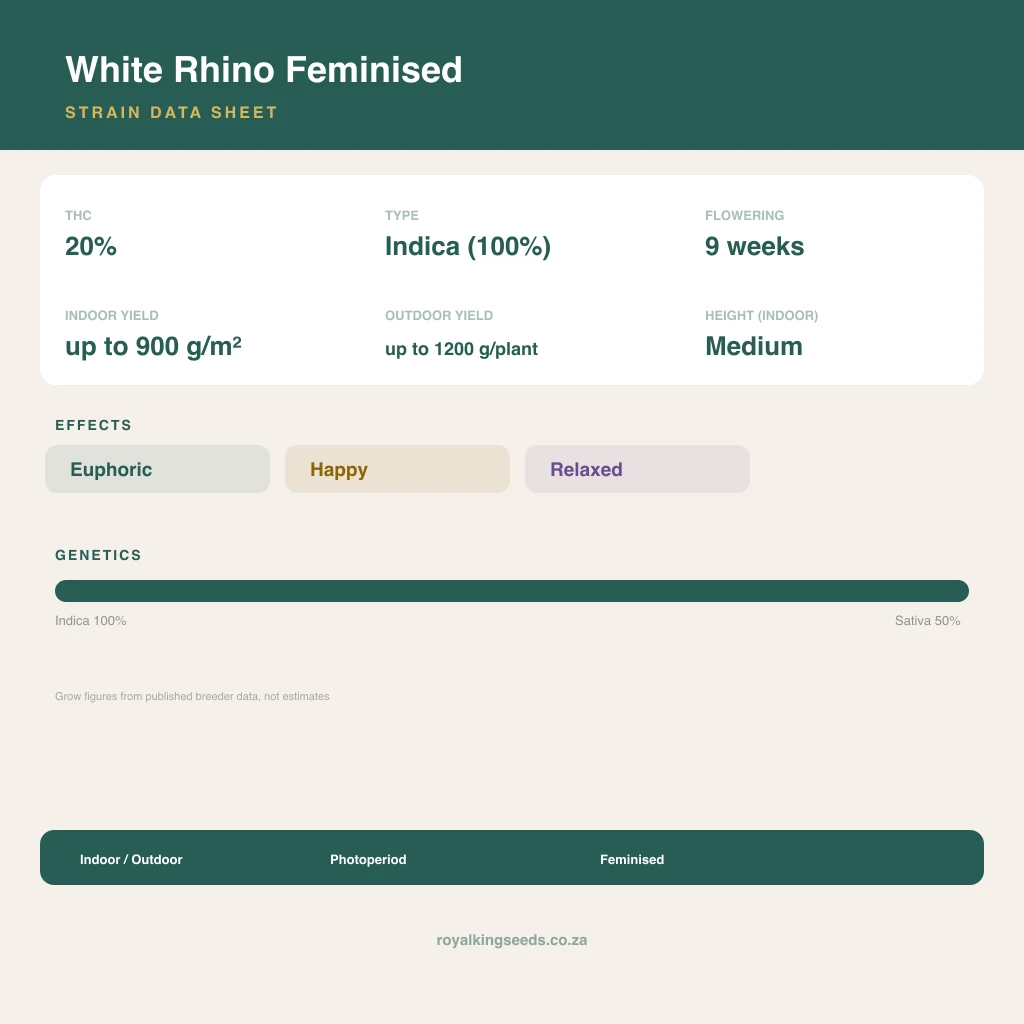 White Rhino 67% indica / 33% sativa flower with visible trichomes