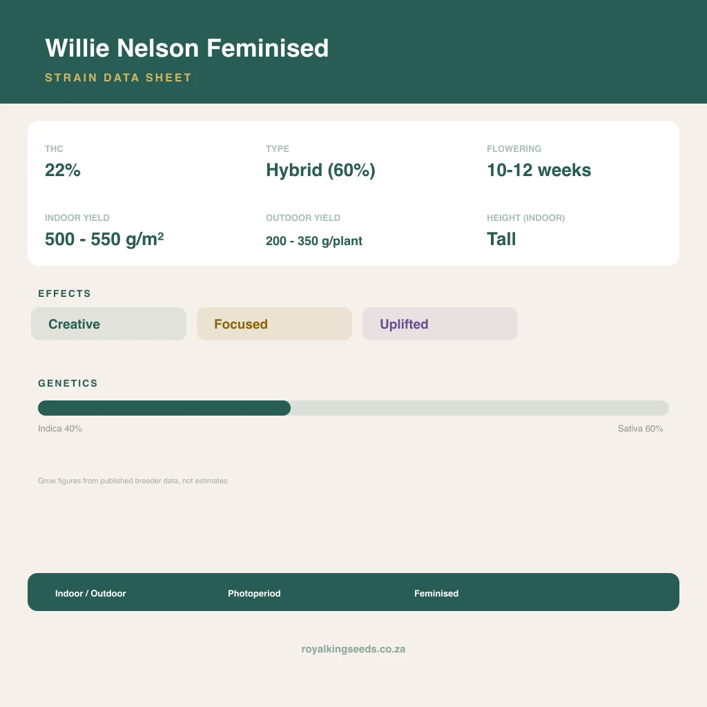 Willie Nelson 40% indica / 60% sativa flower with visible trichomes